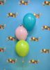 Picture of 11 Inch Helium Balloon Bouquet of 3