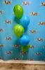 Picture of 11 Inch Helium Balloon Bouquet of 5